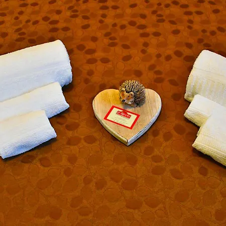 Il Riccio Bed and breakfast Ceva