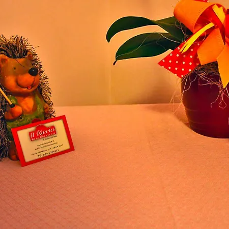 Il Riccio Bed and breakfast Ceva