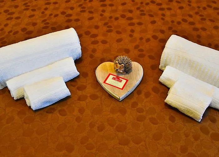 Il Riccio Bed & Breakfast Ceva