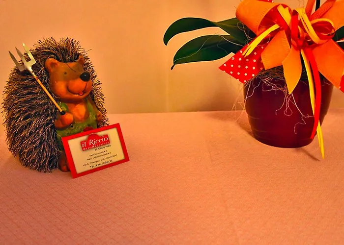 Il Riccio Frühstückspension Ceva